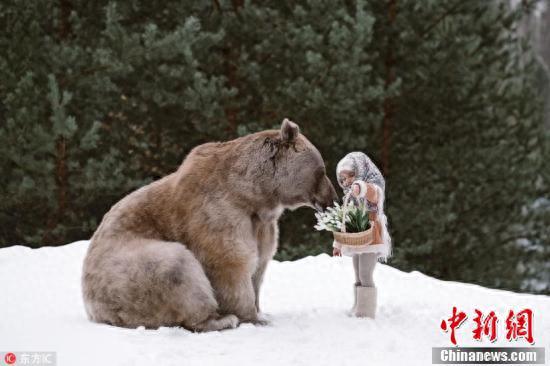 萌娃与棕熊亲密互动 俄上演现实版“美女与野兽”