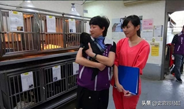 “美女兽医”简稚澄：给700只流浪狗安乐死后自杀，网友：心痛！
