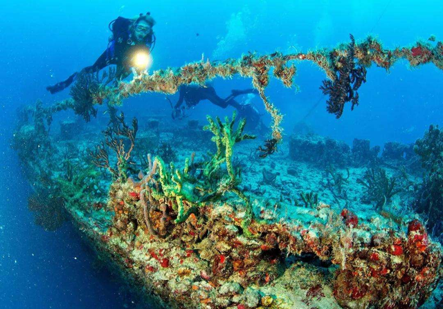 亏大了！1100辆保时捷沉3500米深海，会像暗礁一样成鱼类天堂吗？
