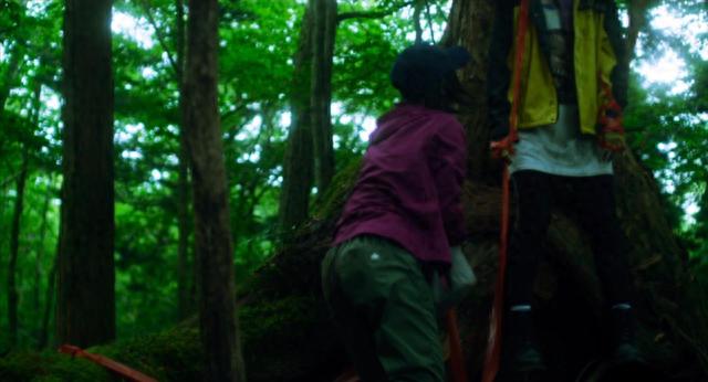日本自杀森林改编的恐怖片？《咒怨》导演拍成了日版《死神来了》