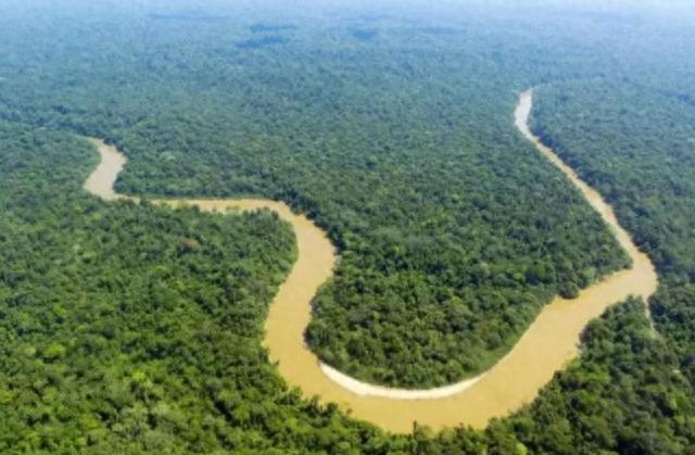 亚马逊丛林有多恐怖？颠覆你的三观，看看什么是真正亚马逊
