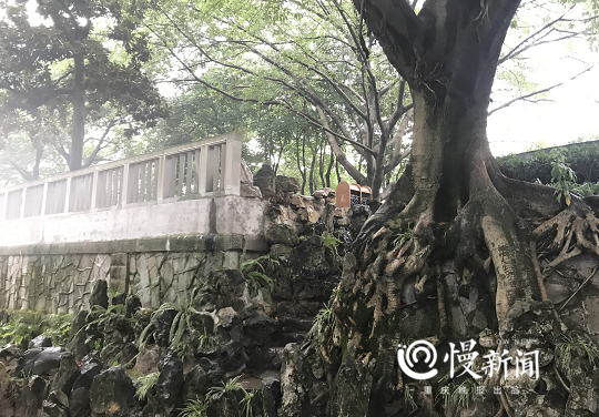 老重庆｜枇杷山公园改造完工，看看新园有何不同