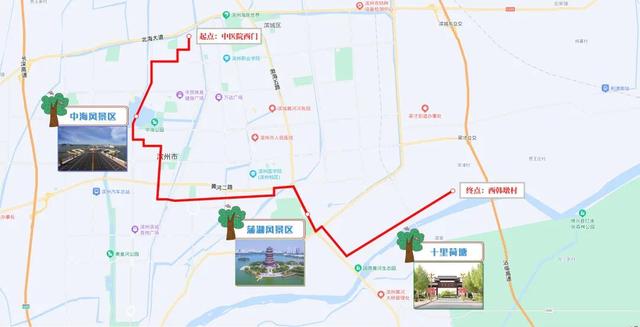 4月29日起 滨州210路“十里荷塘”旅游专线试运行