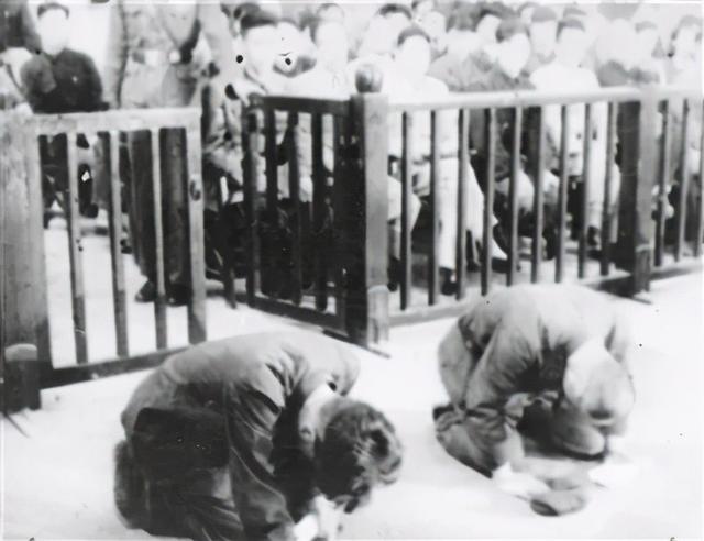 1956年日本战犯审判现场，争先跪下祈求死刑，法官：你们还死不了
