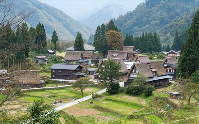 日本农村的“巨无霸”组织，几乎控制了国内所有的农业活动