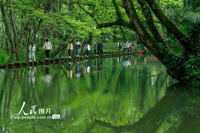安徽黄山：生态旅游 春意盎然