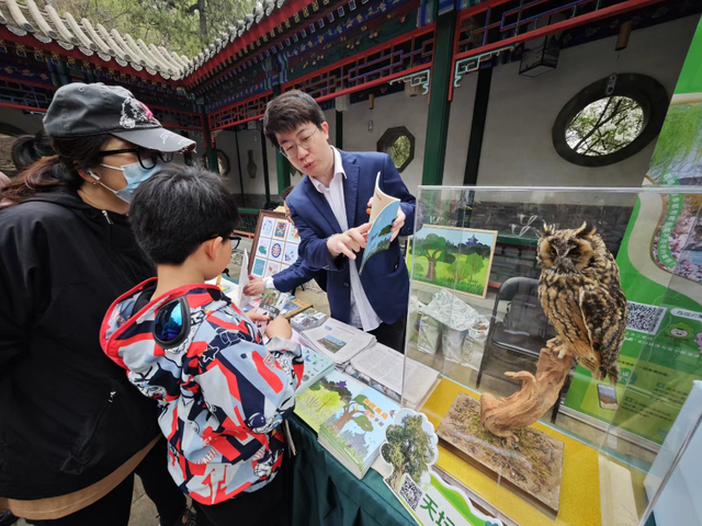 香山举办鸟语花香集市，8家市属公园摆摊科普生物多样化