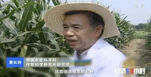 新纪录！双季稻亩产超3000斤！袁隆平90岁生日愿望成真了