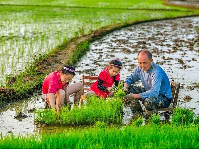 32道传统工序,足足陈酿了15年!这款原浆黄酒进入众筹倒计时