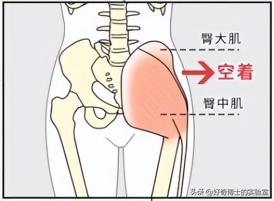 为啥女生的屁股两侧,会凹进去?