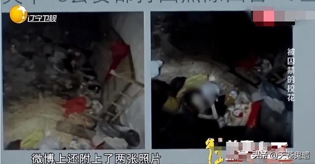 湖北24岁校花被裸身囚禁,与蛇同住场面污秽,幕后黑手曝光引众怒