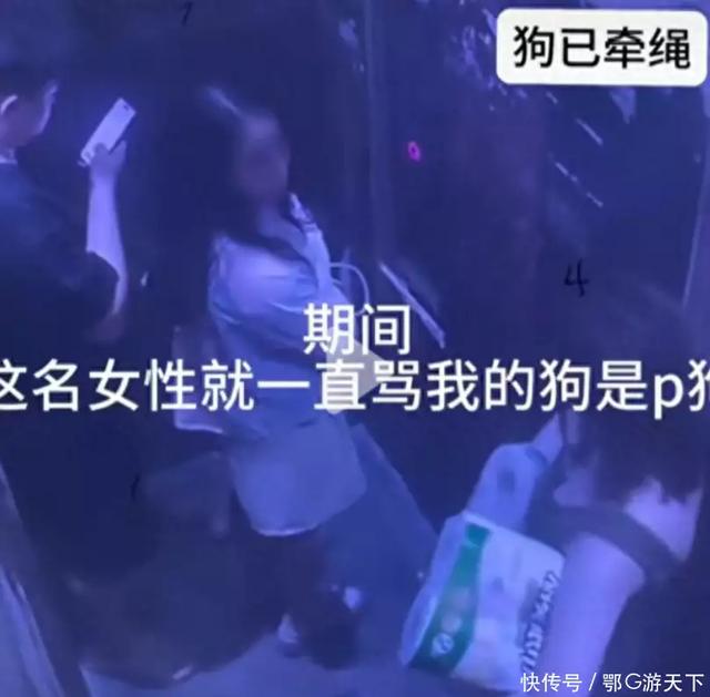 女子因狗被扯衣露胸部后续:无法忍受侮辱,吞安眠药自杀