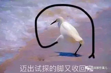 这些妹子的逆天大长腿…我滴妈,我P都不敢P这么长