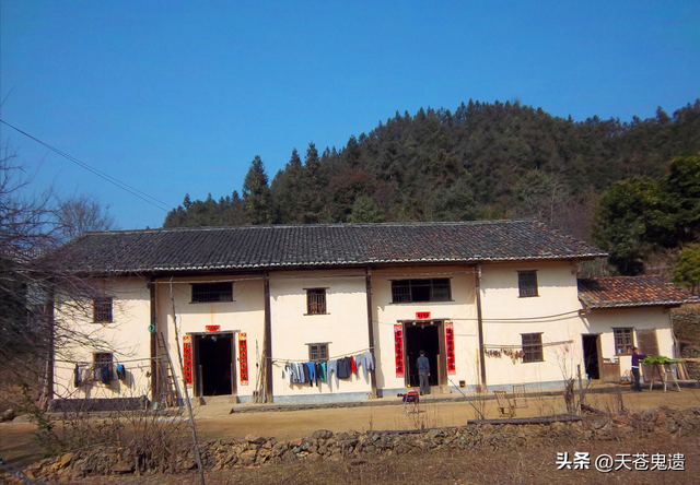 湖北24岁校花被裸身囚禁,与蛇同住场面污秽,幕后黑手曝光引众怒