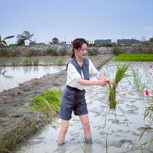 9个大美女,是央视各频道的“当家花旦”,最性感的是“六公主”