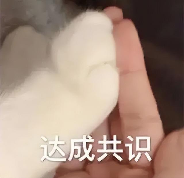 为啥女生大腿上绑根带子,看起来会很性感