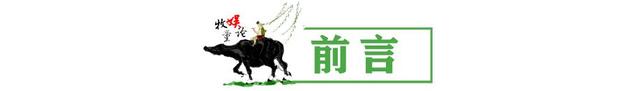 流鼻血还抢话筒,两个女星当众亲吻,只有赵丽颖C位压轴很安心