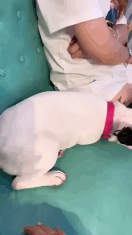 搞笑GIF:可性感可清纯的美女,爱了爱了