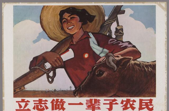 31张罕见图片,越南世界小姐上最受欢迎的美女,乌克兰女兵