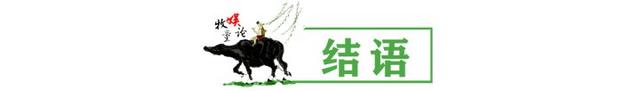 流鼻血还抢话筒,两个女星当众亲吻,只有赵丽颖C位压轴很安心