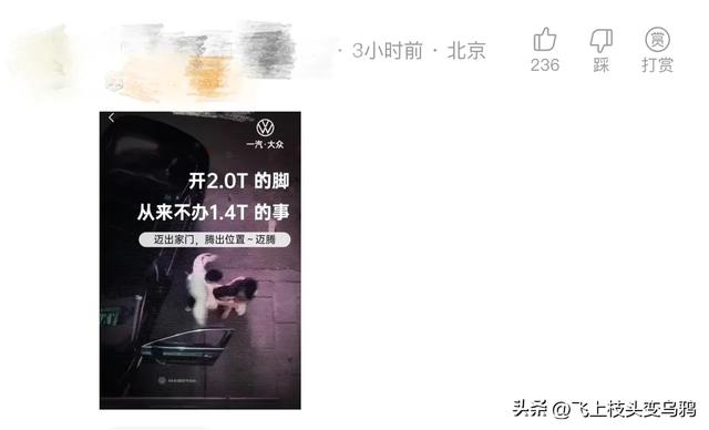刺激!长腿美女小姐姐被暴揍