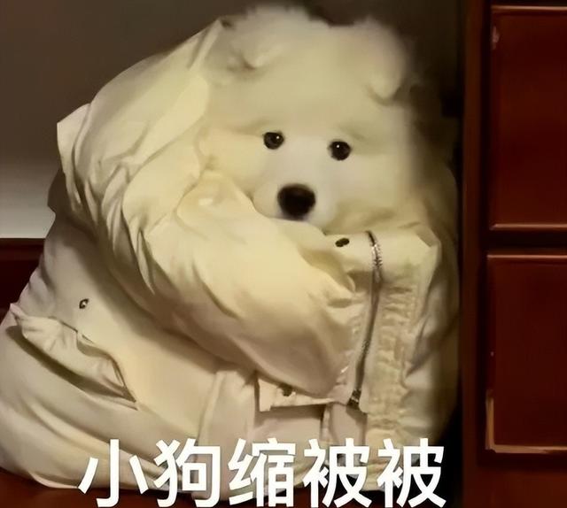 孙千这卡戴珊巨胯生图是什么鬼?!屁股和腰都快分家了吧…