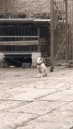 周冬雨脱了!上半身全裸“手也不遮”,破尺度大片引热议