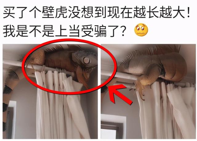 周冬雨脱了!上半身全裸“手也不遮”,破尺度大片引热议