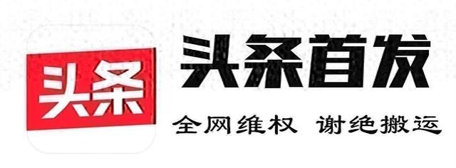朴信惠为KBO联赛开球,甜美笑容深入人心,网友:自然的微胖女神