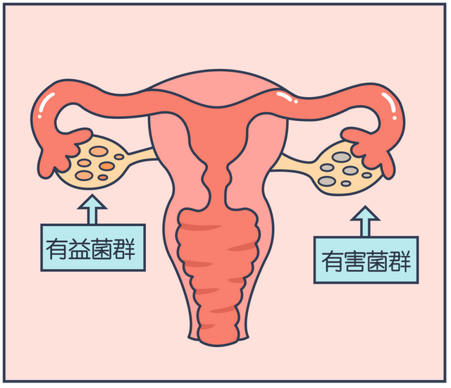 女性须知:关于阴道,建议你了解4个正经冷知识,别再不好意思了