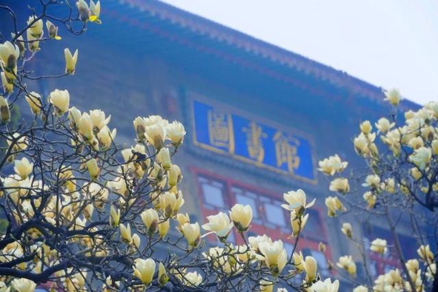神仙颜值!陕西师范大学“最美校花”惊艳亮相,高清大图最新曝光!