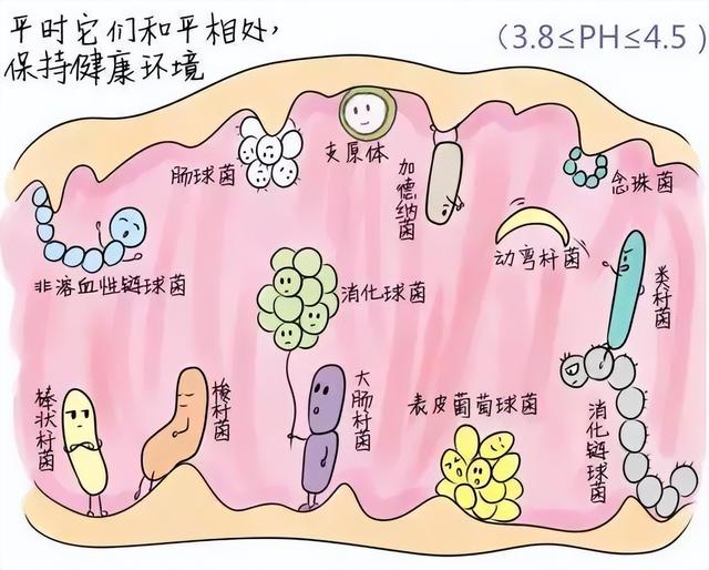 女性须知:关于阴道,建议你了解4个正经冷知识,别再不好意思了