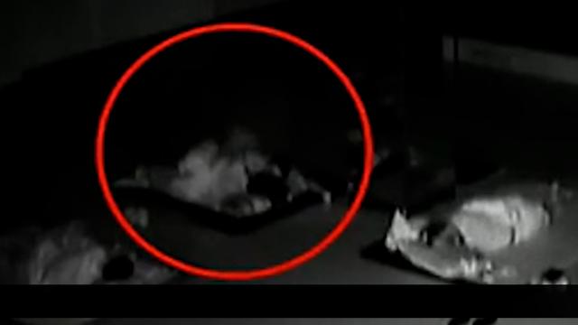 上海:校花睡梦中被陌生男子骚扰,误以为做春梦还主动配合