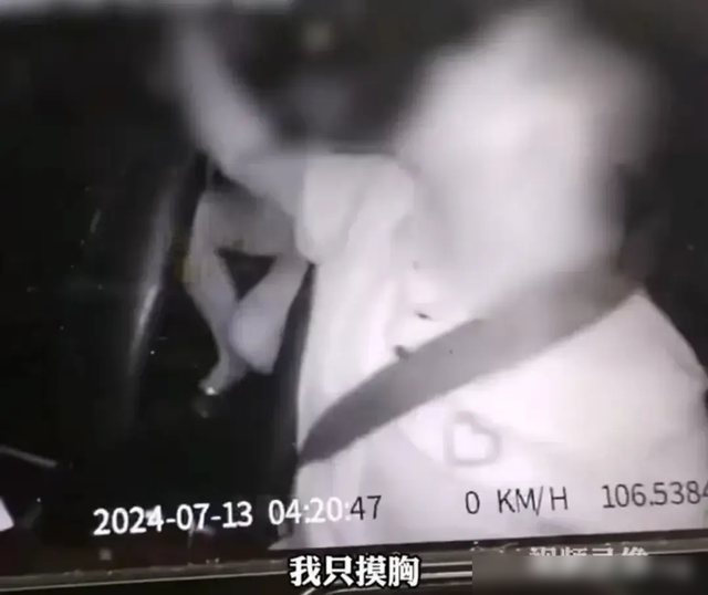 重庆这个出租车司机火了,凌晨四点拉女客摸胸,网民:你摊上事了