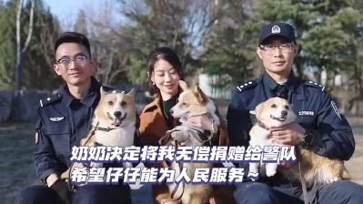 “请叫我福sir!”全国首只“柯警官”最新训练场面大公开