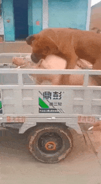 周冬雨脱了!上半身全裸“手也不遮”,破尺度大片引热议