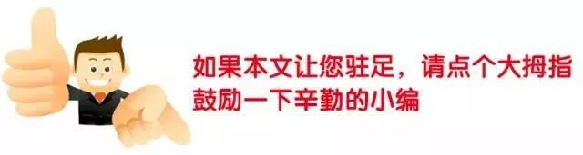 电动车违停被扣,为何这位俄罗斯美女还连声感谢柳北区城管?