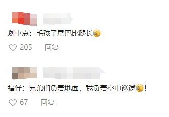 “请叫我福sir!”全国首只“柯警官”最新训练场面大公开
