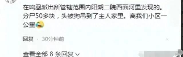 太惨啦!江苏发生重大凶杀案:女子被先杀后蒸再抛,头颅被狗叼走