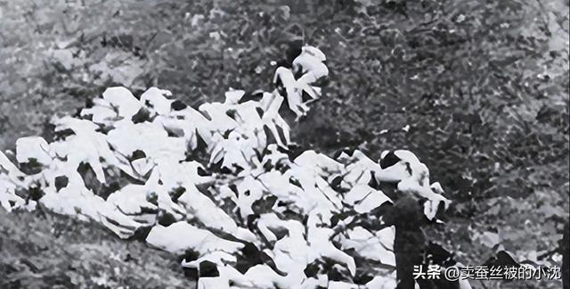 30张屈辱照片:德国女犯一丝不挂被枪决,被拍卖的大胸女人