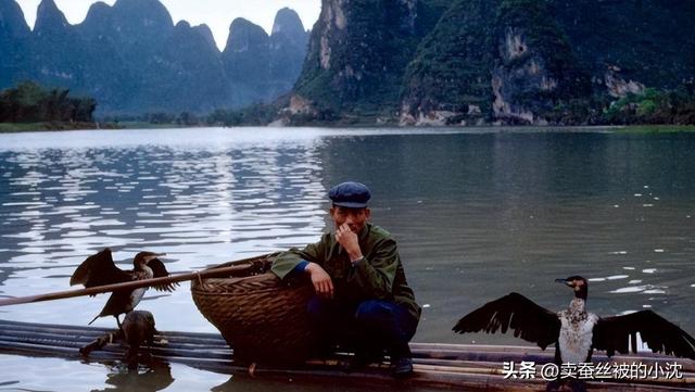 30张屈辱照片:德国女犯一丝不挂被枪决,被拍卖的大胸女人