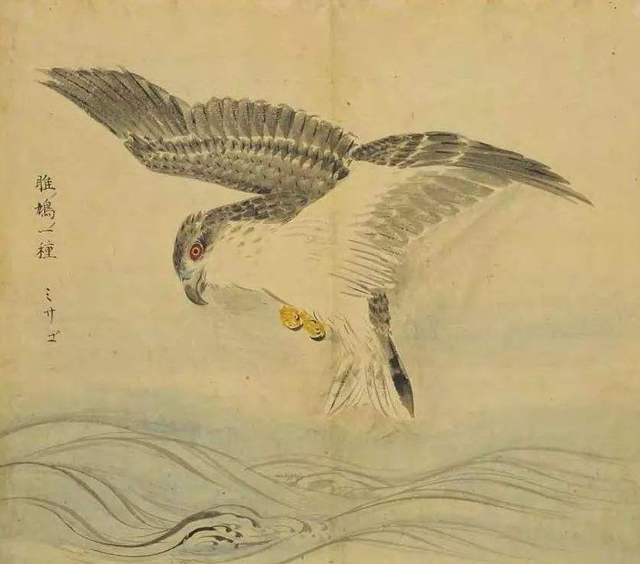 在古代如何正确的夸女性?什么“美女”、“女神”都太low了