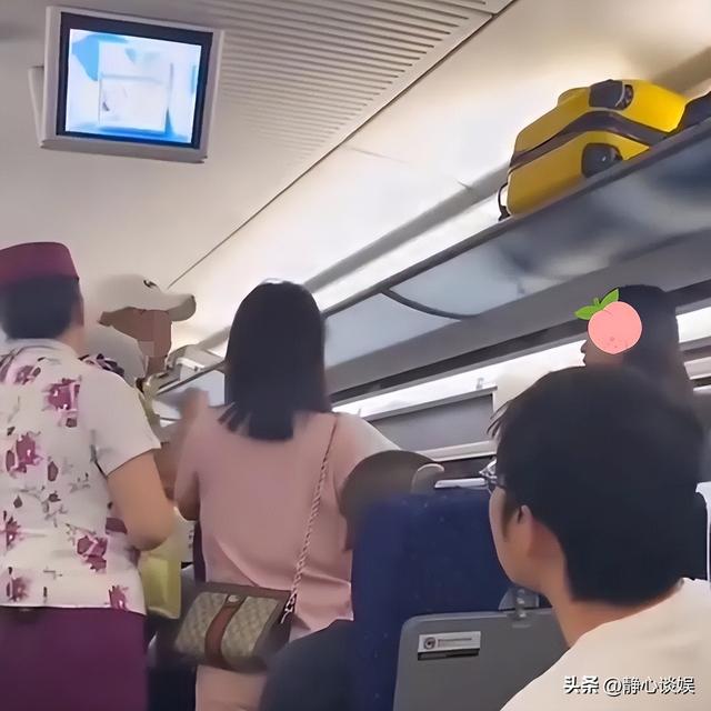 湖北年轻女子“一丝不挂”大闹高铁,当众表演全裸劈叉,惊呆乘客