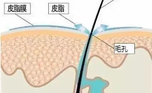 范冰冰现身机场,为了显瘦包裹“玉足”,网友:看脚就能识美人