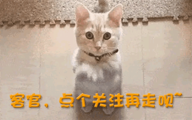 吴艳妮又被骂了,黑丝写真曝光,明明身材有料,奈何P图手段过分