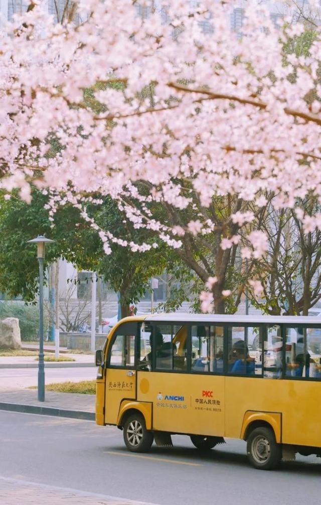 神仙颜值!陕西师范大学“最美校花”惊艳亮相,高清大图最新曝光!