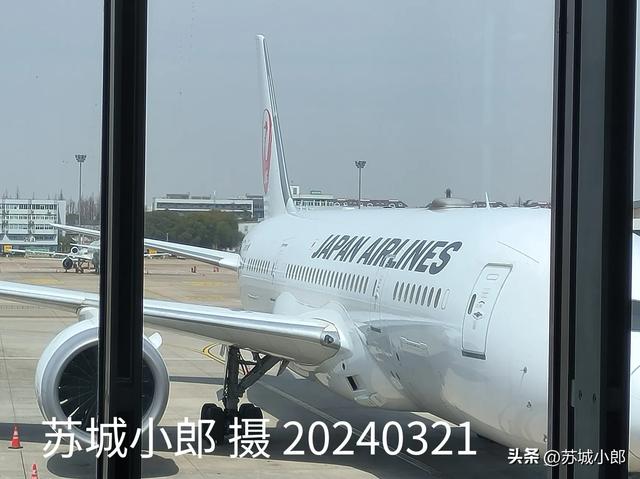 日本航空的美女空乘小姐姐:从上海虹桥机场坐日航