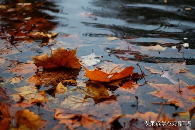 “多穿点”别说“wear more”,这种中式英语不礼貌