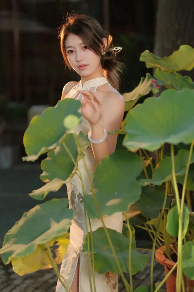 性感旗袍美女写真 第1期